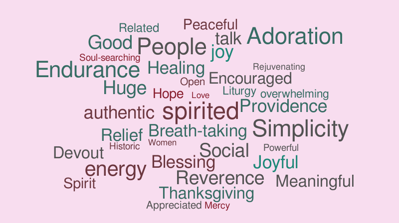 SEEK responses – Word cloud – WordItOut