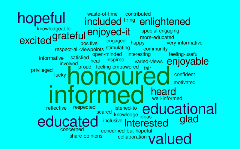 word cloud for SRM public dialogue – Word cloud – WordItOut