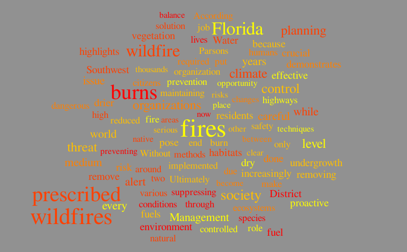 wild fire – Word cloud – WordItOut