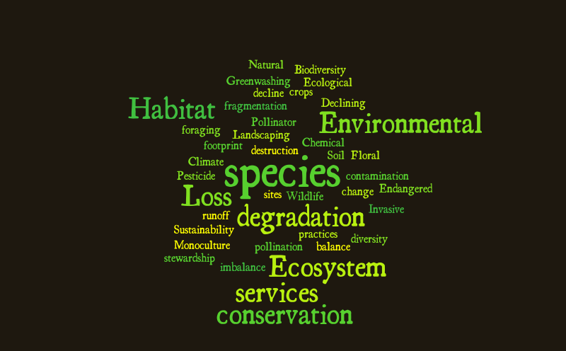 Untitled – Word cloud – WordItOut