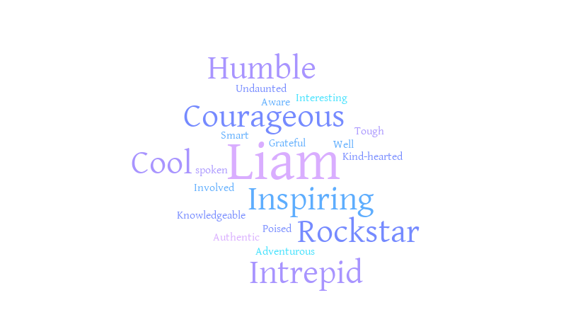Liam WC – Word cloud – WordItOut