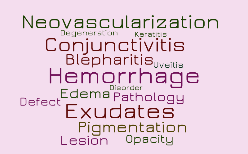 Words – Word cloud – WordItOut