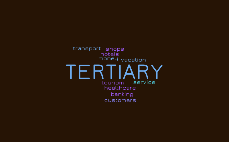 TERTIARY WORD IT OUT – Word cloud – WordItOut