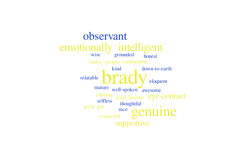 Brady WC – Word cloud – WordItOut