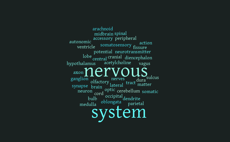 Untitled – Word cloud – WordItOut