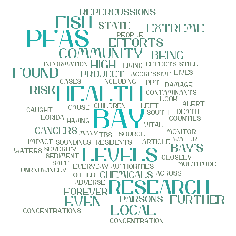 NS_Word-Cloud – Word cloud – WordItOut